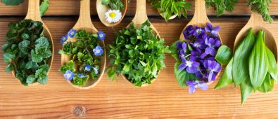 Essential Information You Need To Know About Naturopathy