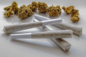 best delta 8 pre rolls