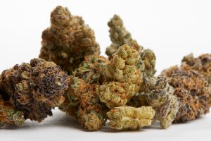 CBD flower