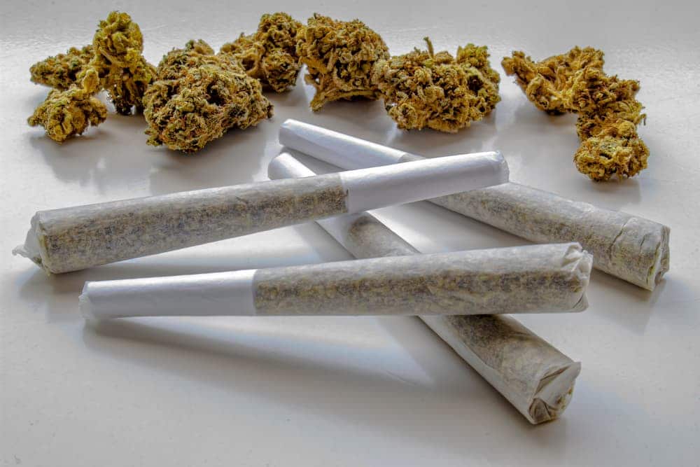 does delta 8 get you high 