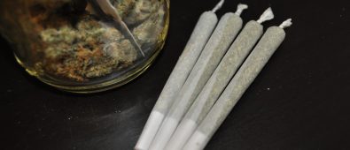 does delta 8 get you high