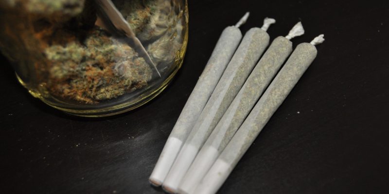 does delta 8 get you high