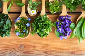 Essential Information You Need To Know About Naturopathy